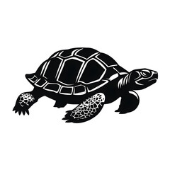 Fototapeta premium turtle silhouette