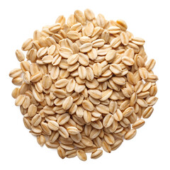 five grains of oatmeal  isolated on transparent background png