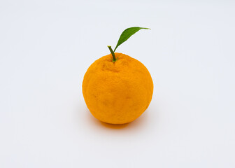 초록 잎이 달린 주황색 오렌지 누끼 이미지