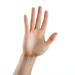 female hand isolated on white