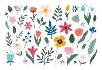 Flowers collection. Different flowers isolated on white. Vector illustration. Summer and spring flowers and herbs. Hand drawn poppy, tulip, peony, narcissus, doodle style, flat design.