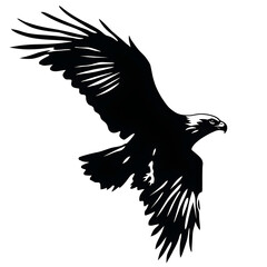 Obraz premium eagle silhouette
