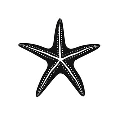 Fototapeta premium starfish silhouette