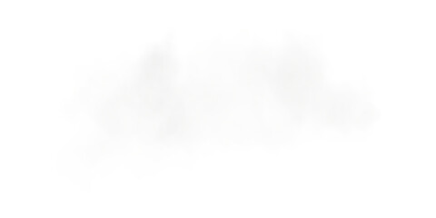 Bright Grey Smoke Cloud Illustration. Fantastic grey smoke. Magic smoke. Smog cloud on podium or stage. Fog vapor over ground or water surface, magic haze. Magic smoke, magic fog, grey steam. PNG.