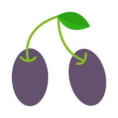 Jamun flat icon