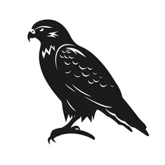 Obraz premium falcon silhouette