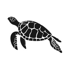 sea turtles silhouette