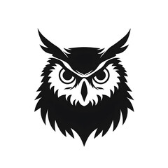 Obraz premium owl silhouette