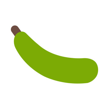 Pointed gourd flat icon