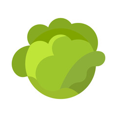 Brussels sprouts flat icon