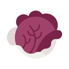 Radicchio flat icon