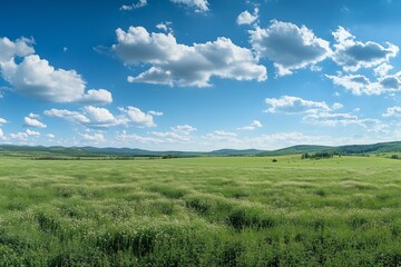Beautiful green grass meadow and blue sky with clouds. Spring landscape background