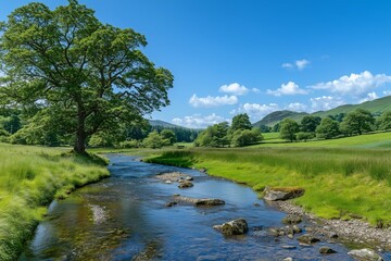 Beautiful summer landscape with trees and a river in the countryside, under a clear blue sky. Panoramic view of a natural scene. View from a grassy bank on a sunny day