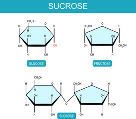 Sucrose, Fructose and Glucose molecular chemical structural formula