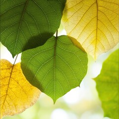 A giant leaf forest where each leaf glows with unique hues, [fantasy], [dreamlike], [soft light], [intricate]