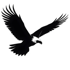Obraz premium bald eagle silhouette