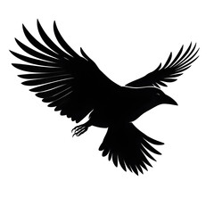 Fototapeta premium raven flying silhouette
