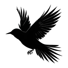 Obraz premium Bird Silhouette Isolated on Transparent Background 