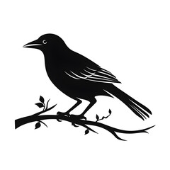 Obraz premium bird silhouette