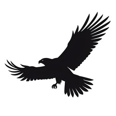 Obraz premium flying eagle silhouette