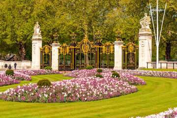Spring flowers in Constitution hill Memorial garden, London