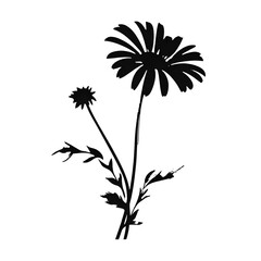 Fototapeta premium daisy silhouette