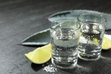 Tequila shots, slices of lime, salt and agave leaves on grey table, closeup. Space for text