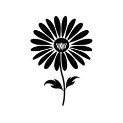a daisy silhouette