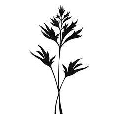Naklejka premium a plant silhouette