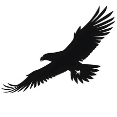 Fototapeta premium eagle flying silhouette