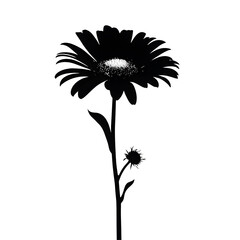 daisy silhouette