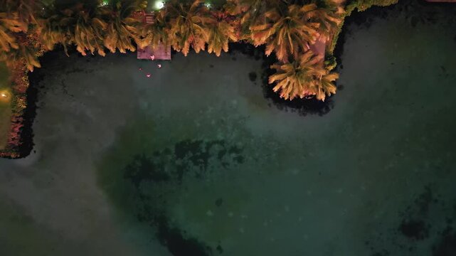 Palm Trees from above Beautiful Beach Sunset Samoa 