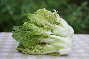 Fresh organic vegetables from being destroyed by worms or insects because non chemical. Concept,...