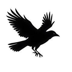 Obraz premium crow flying silhouette