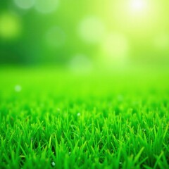Fototapeta premium Lush green grass texture, vibrant spring lawn , spring, aerial, summer