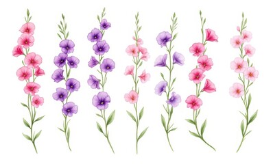 Colorful floral design with pink and purple blossoms