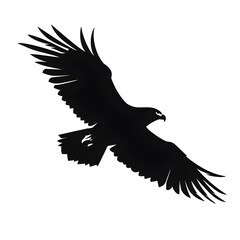 Obraz premium an eagle flying silhouette