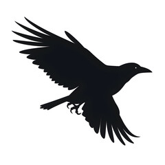 Obraz premium crow flying silhouette