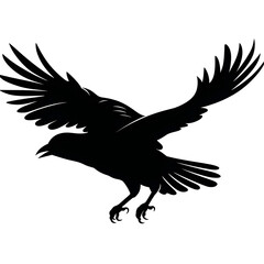 Obraz premium raven flying silhouette
