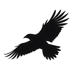 Fototapeta premium raven flying silhouette
