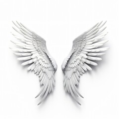 Elegant White Wings Isolated on White Background