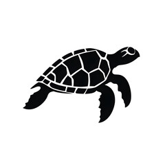 Obraz premium turtle silhouette
