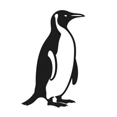 Obraz premium penguin silhouette