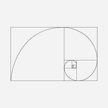 Ration section proportion vector pattern in golden ratio Fibonacci illustration. Abstract geometry. golden ratio Fibonacci template