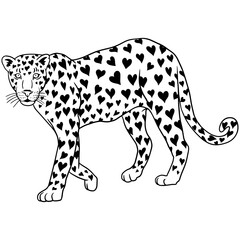 Unique black and white illustration of a leopard covered in heart-shaped spots. A creative and artistic design blending wildlife and love symbolism. Perfect for tattoos, prints, and fashion designs