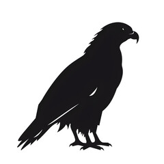 Obraz premium hawk silhouette