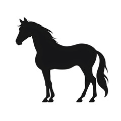 Obraz premium horse art silhouette