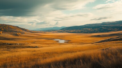 Obraz premium New York Countryside Photography: Rolling hills and golden fields paint a picturesque, serene rural landscape.