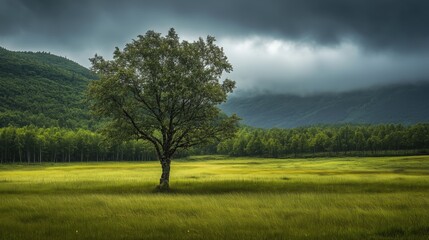 Obraz premium Alaska Highlands Photography: Dramatic, vast, and solitary landscapes showcase the raw beauty of remote wilderness.