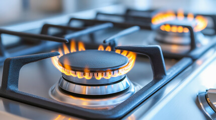 Efficient gas stove with multiple burners, perfect for home cooking. Enhance kitchen performance and energy savings with precision.
